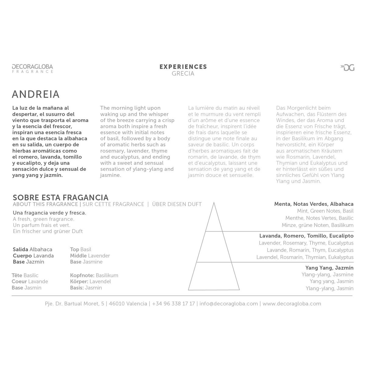 Scented Sticks Mikado Diffuser | Aromatic fresh and green fragrance | ANDREIA | 250ml/8.45 fl.oz