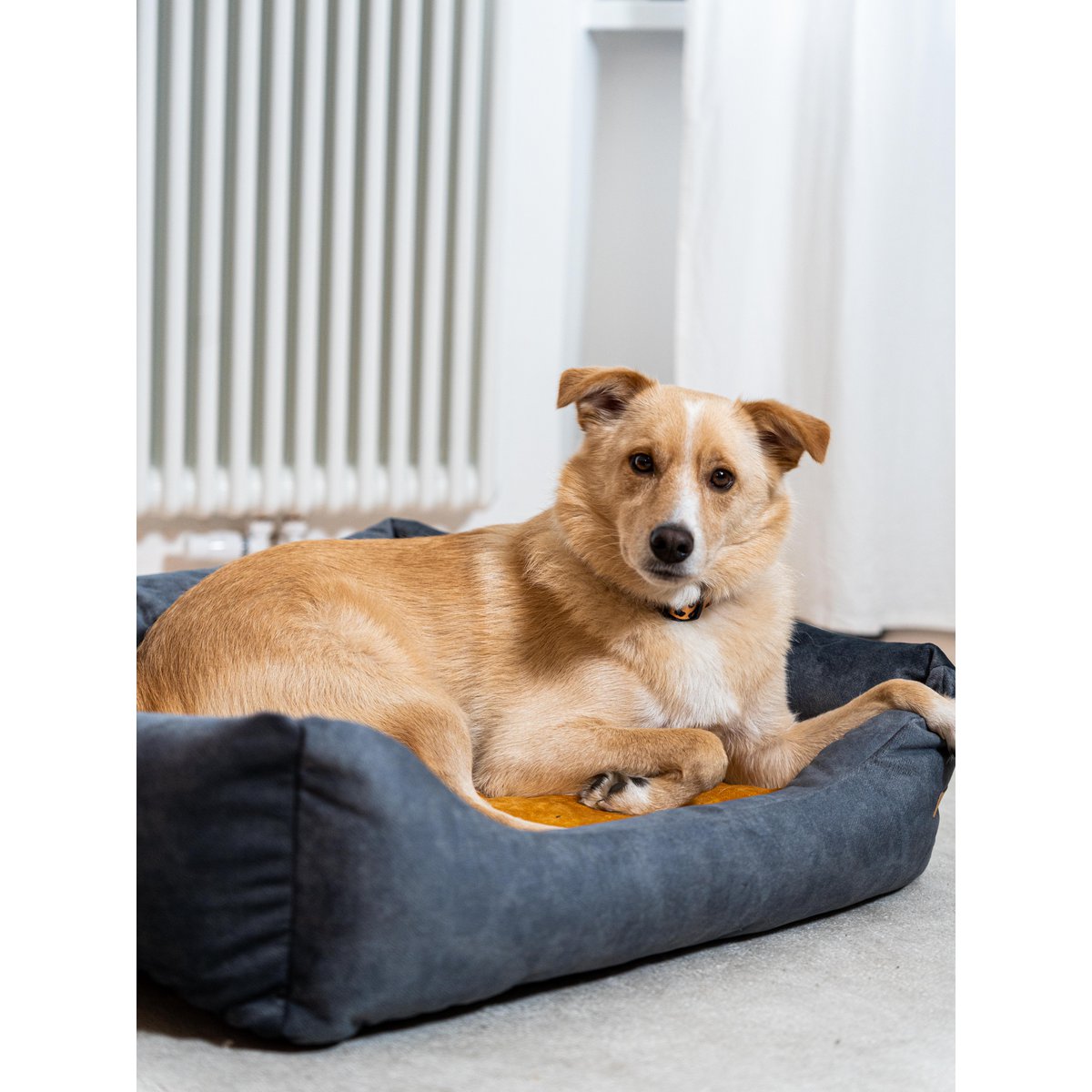 Cuccia per cani e gatti Rexproduct Softcolor – grafite/multicolore