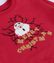 Baby Merry Christmas Embroidered Sweatshirt