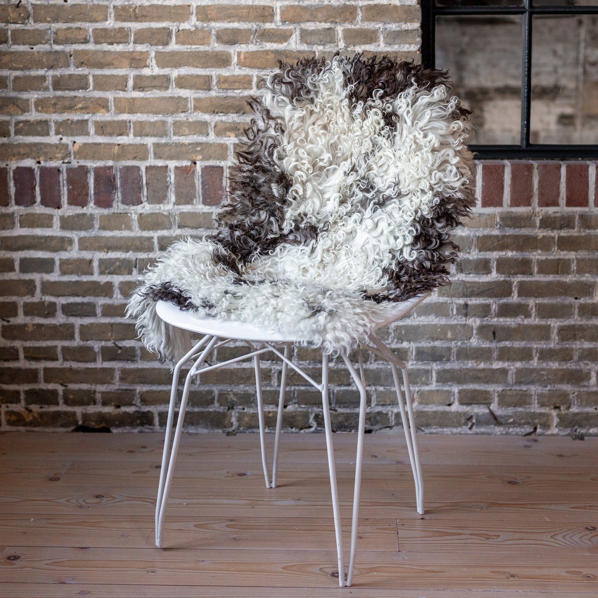 Lambskin curl, 50-80cm
