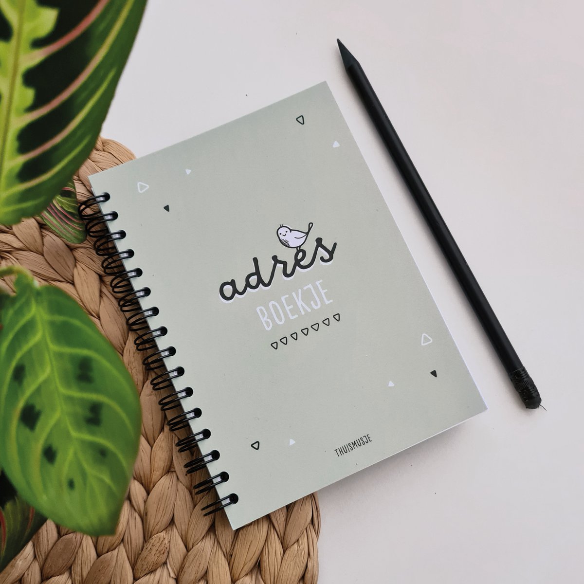 Address book | A6