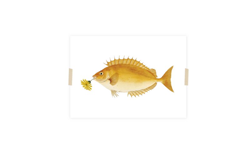 Postcard collage uit de Naturalis-collectie - Julia