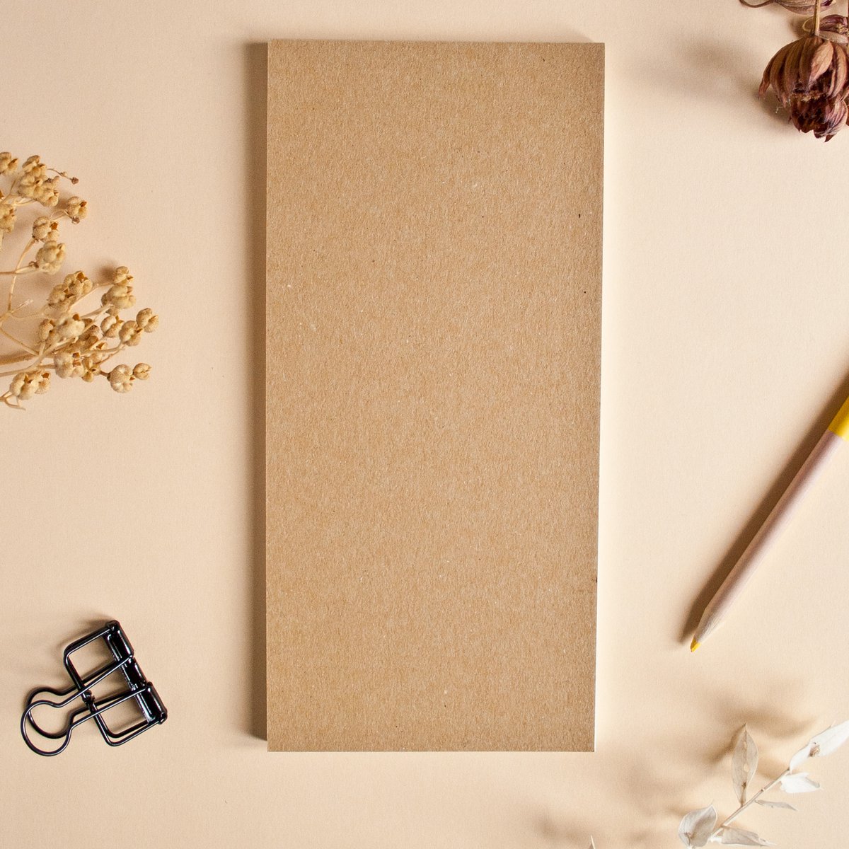 Notepad | cats