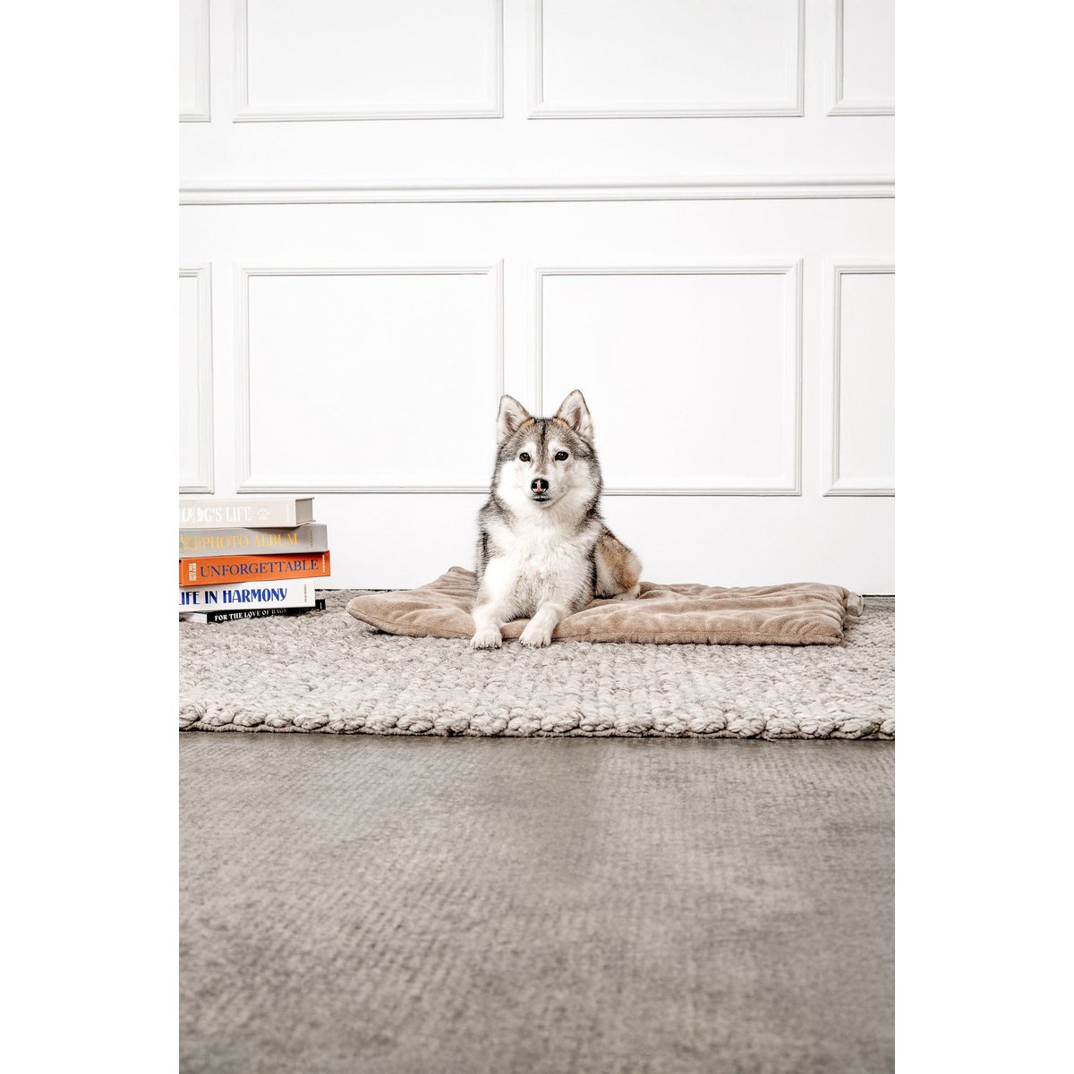 Hundedecke Emma Beige (végétalien)