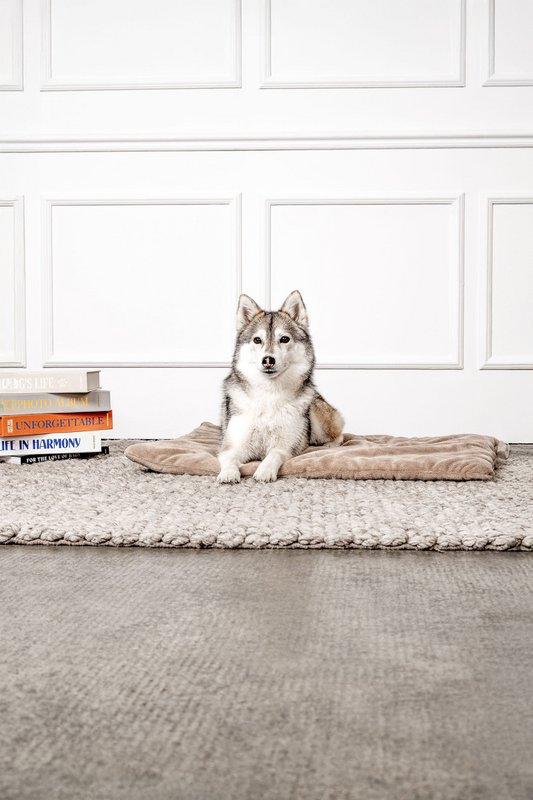 Hundedecke Emma Beige (vegansk)