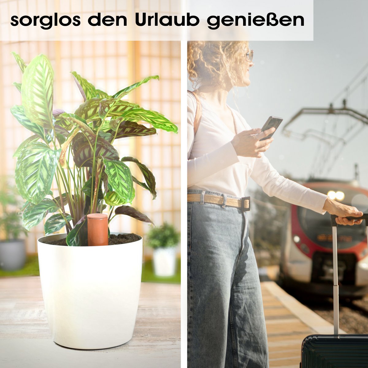 Terracotta Bewässerungshilfe håndgefertigt - 530 ml