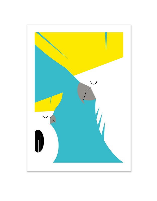 COCKATOO | FSC® postcards | Dutch Design