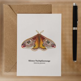 Postkort nachtfauenauge, miniprint nachtfalter