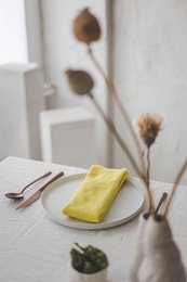 Linen Napkins Various Sizes