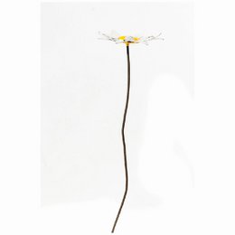 METALEN KLEINE MADELIEFJEBLOEM
