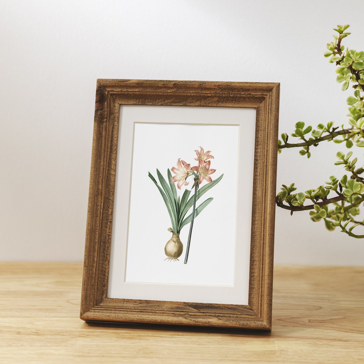 Botanische kunst print mix x16 | Vintage bloem illustratie | Kunst aan de muur