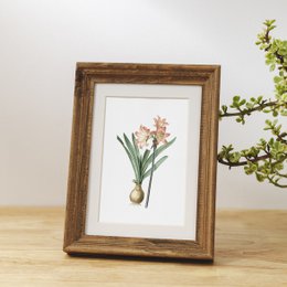 Mix di stampe d'arte botanica x16 | Illustrazione di fiori d'epoca | Decorazione artistica da parete