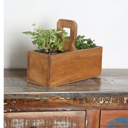 Viola plant box