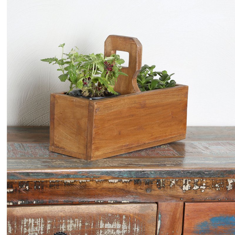 Viola plant box