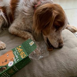 Spinach & Kelp Biscuits 120g