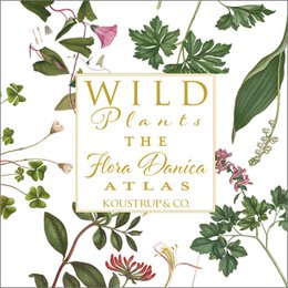 The Flora Danica Atlas - Wild plants - Square card folder