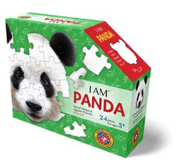I Am Preschool - Panda