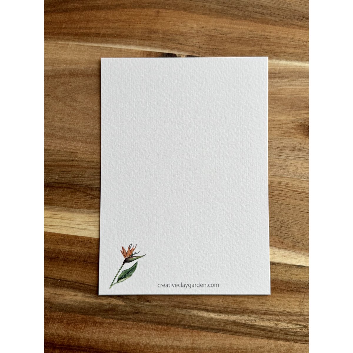 Postcard 'Houseplants'