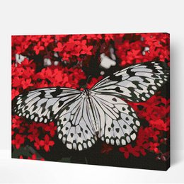 Mariposa en blanco y negro