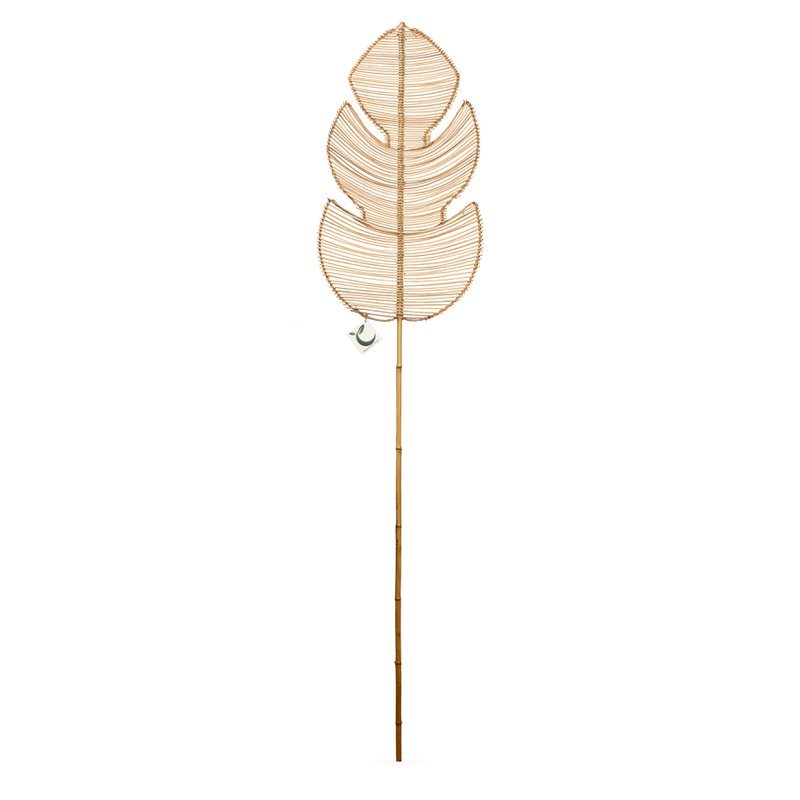Chêne feuille de rotin