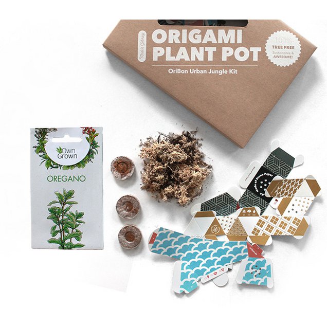 Kit Urban Jungle - Colección japonesa