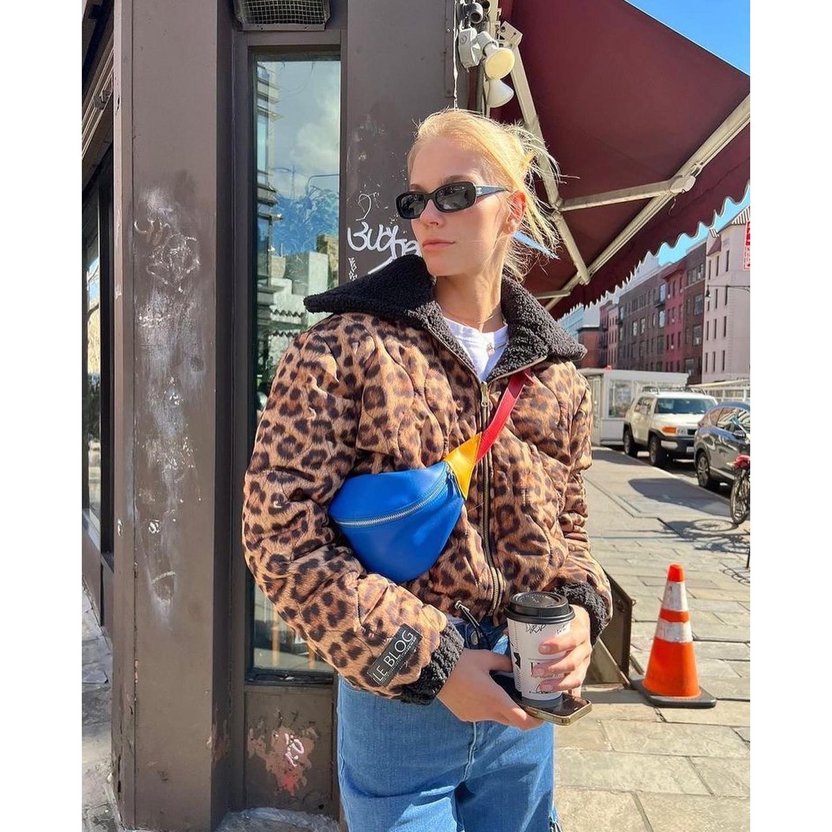 Multicolor Bumbag