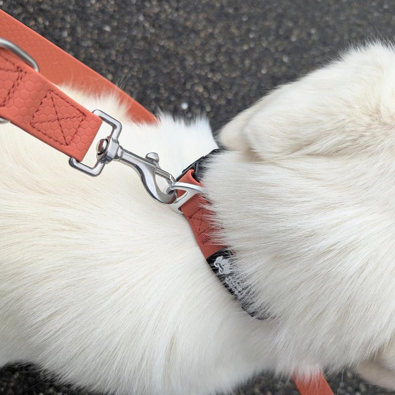Waterproof multi-position leash Ocher