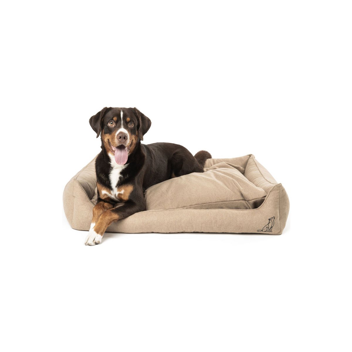 Lit pour chien Belle beige