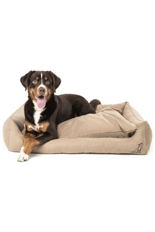 Lit pour chien Belle beige