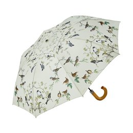 Umbrella with a garden birds print, featuring a variety of colorful birds in a nature-inspired design. The umbrella has a wooden handle for a classic look.