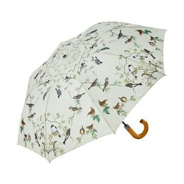 Umbrella with a garden birds print, featuring a variety of colorful birds in a nature-inspired design. The umbrella has a wooden handle for a classic look.