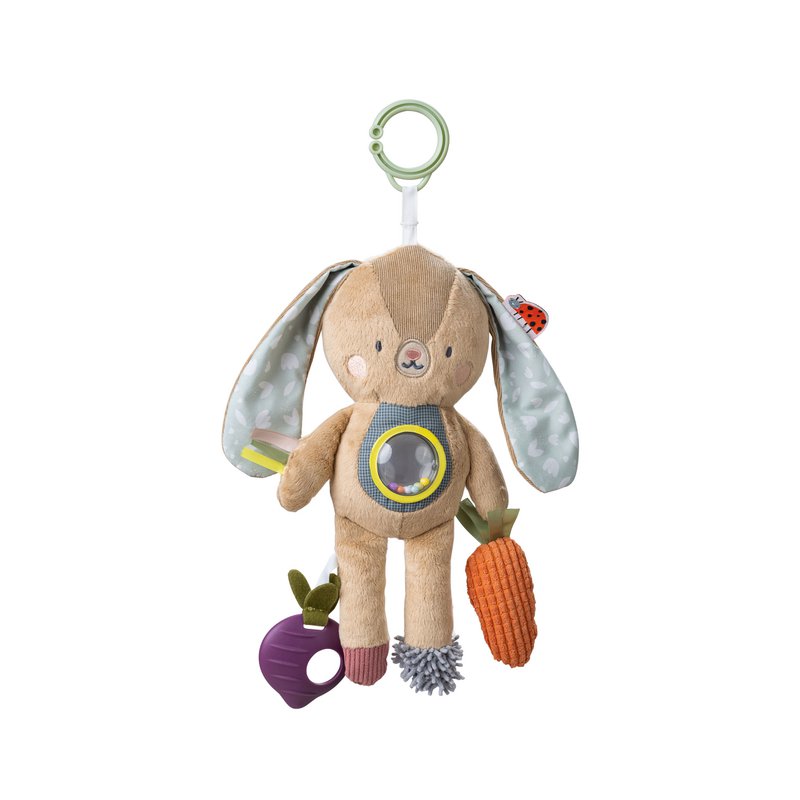 JENNY ACTIVITY TOY