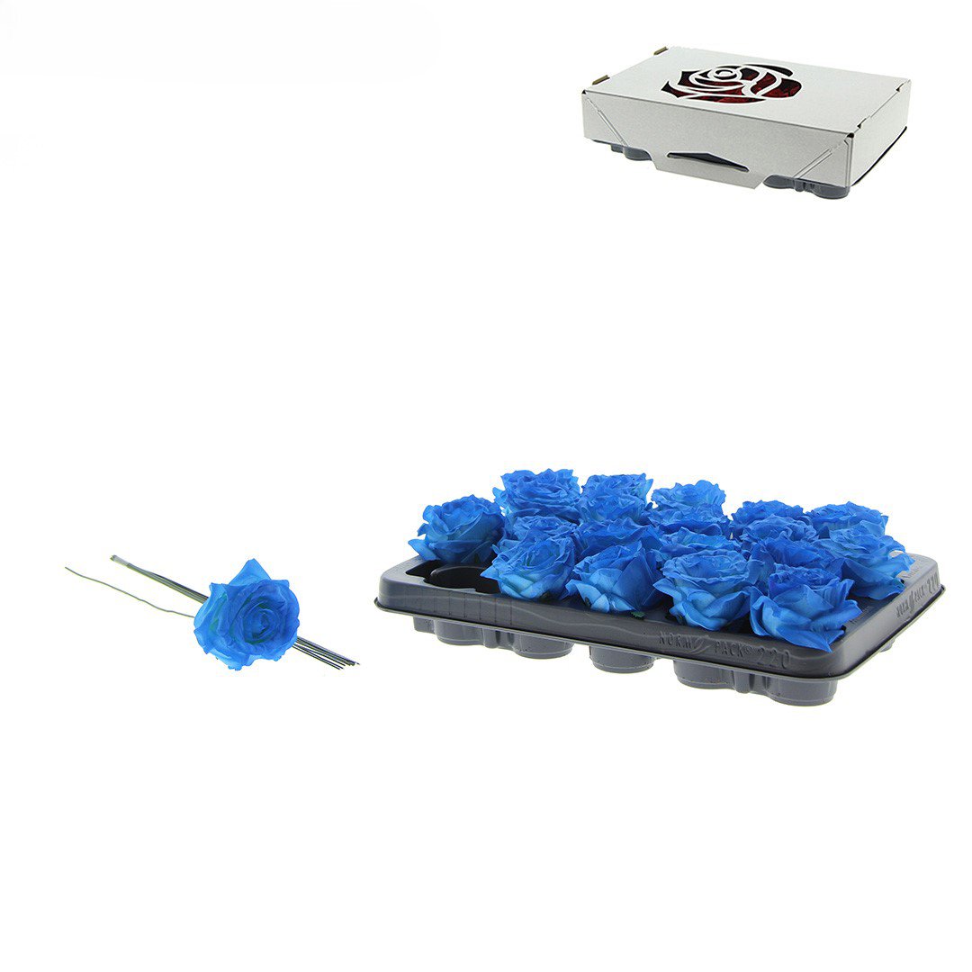 Rose Decooz® Silk - Blue