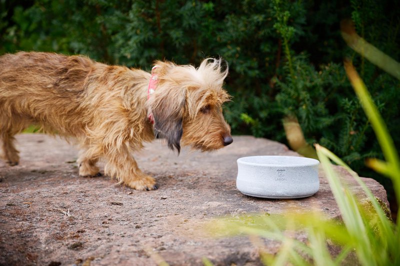 ROCKY - elegant skål til hunde og katte