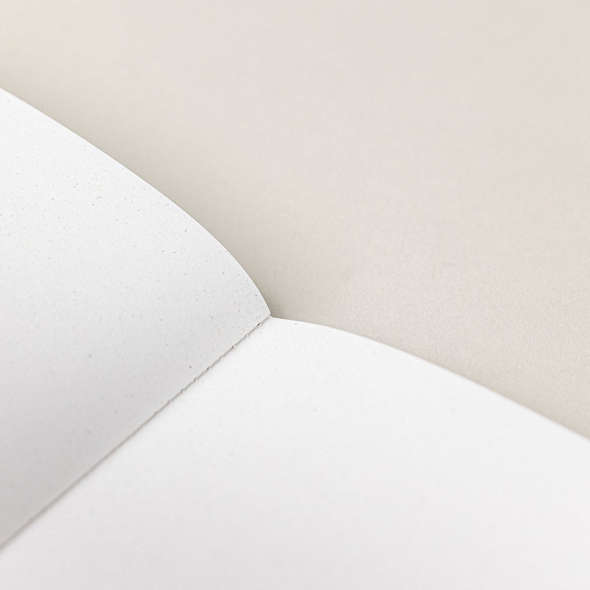 OLIVE A5 · CARNET BIOLOGIQUE