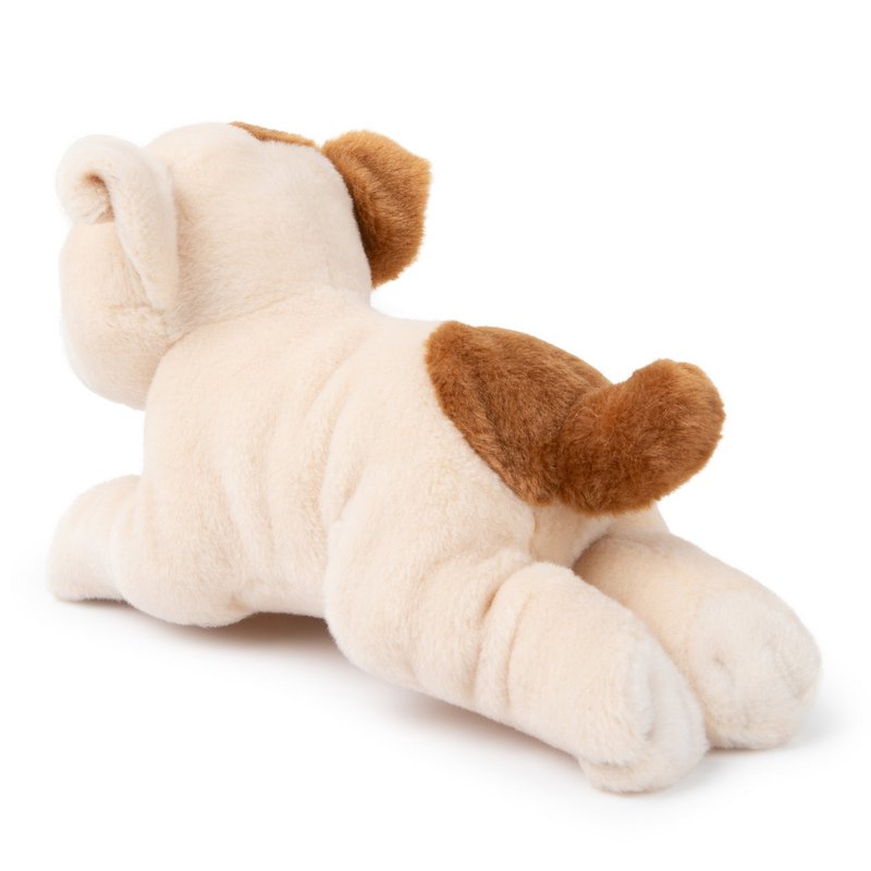 BTC - Bertha the American Bulldog in gift box - 20 cm -