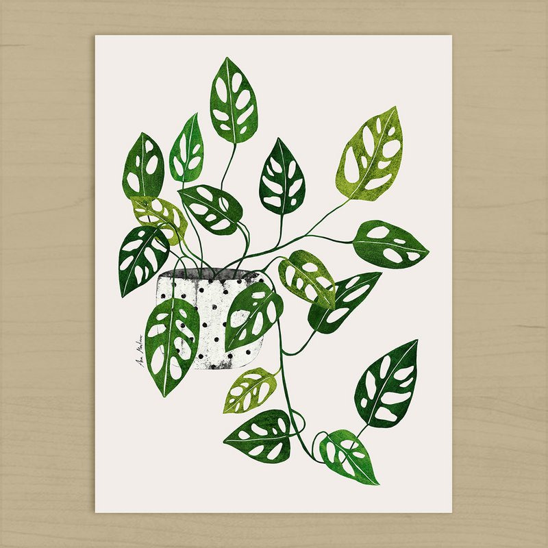 Monstera Obliqua kunsttryk