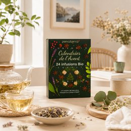 Calendario dell'Avvento 24 Tisane Biologiche – Infusi di Piante, Frutta e Spezie 100% Naturali – Confezione Regalo Gourmet & Benessere Senza Caffeina – Aromi Naturali e Benefici