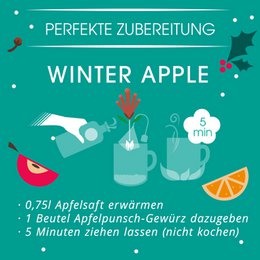 ETS - Apfel Punsch Gewürz "Winter Apple", BIO, 7 Pyramiden-Beutel