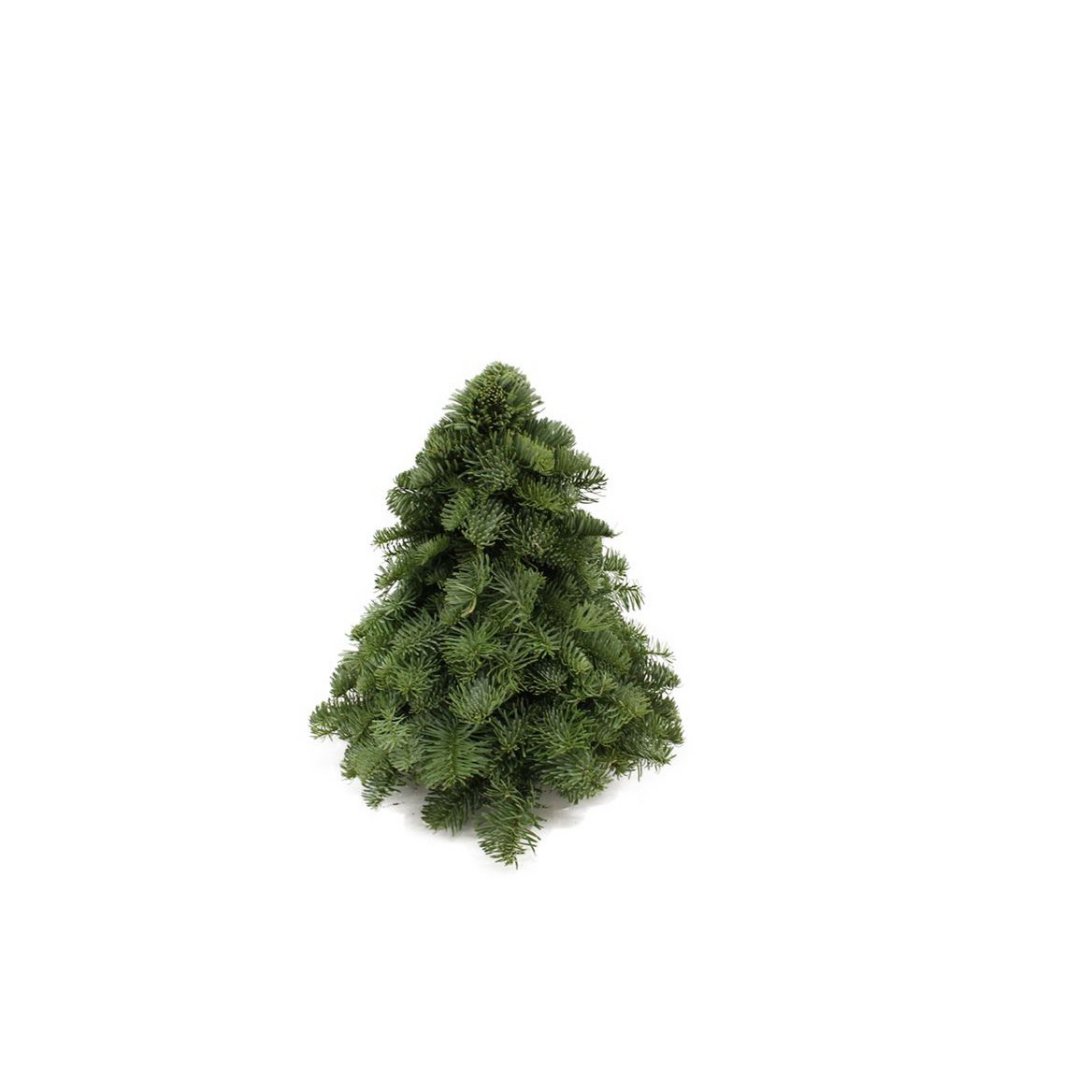 Weihnachtsbaum - Nobilis grün - 30/40/50/60 cm