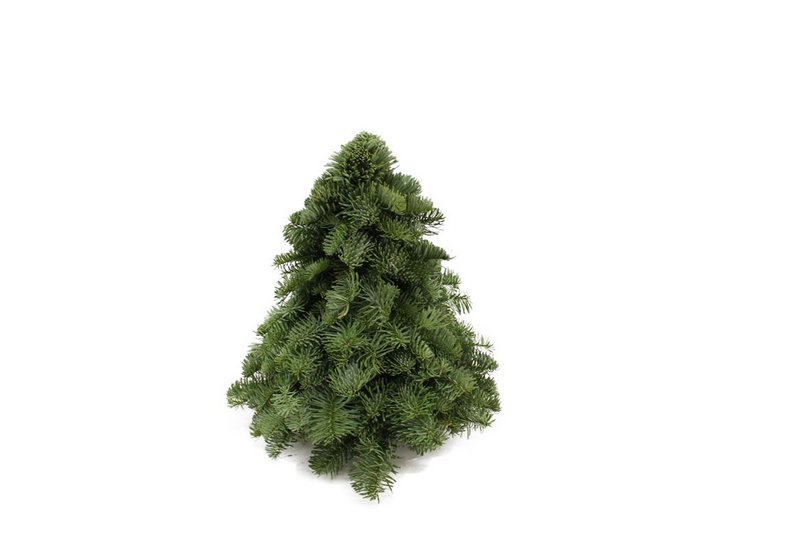 Albero di Natale - Nobilis verde - 30/40/50/60 cm