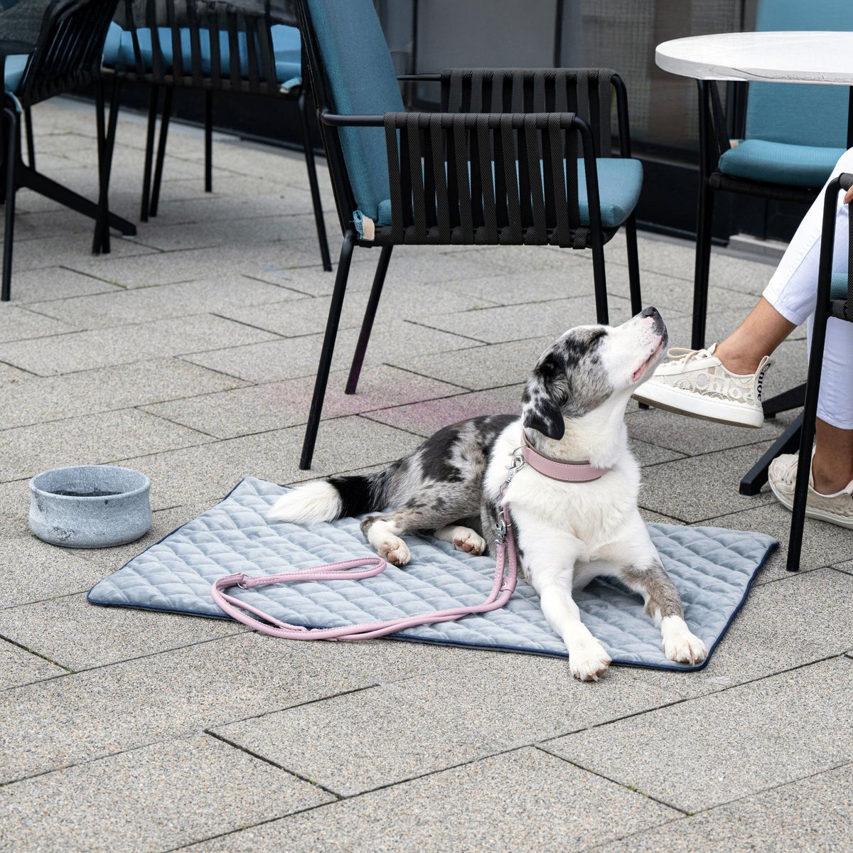 Coperta in velluto OXFORD per cani