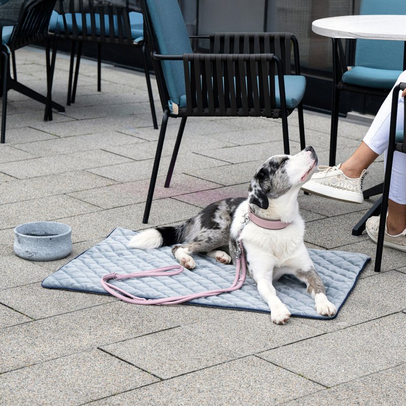 OXFORD fløjlstæppe til hunde