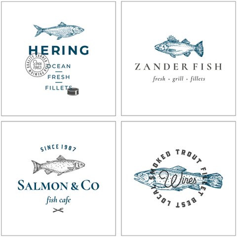 Stone Coaster Set - Fish Species