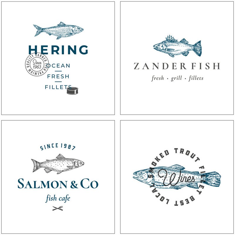 Stone Coaster Set - Fish Species