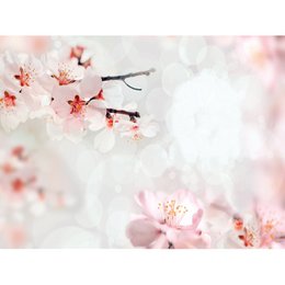 Magnetisch markeerbord - Lili