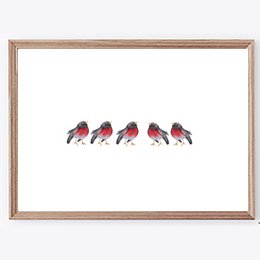 Póster: pájaros