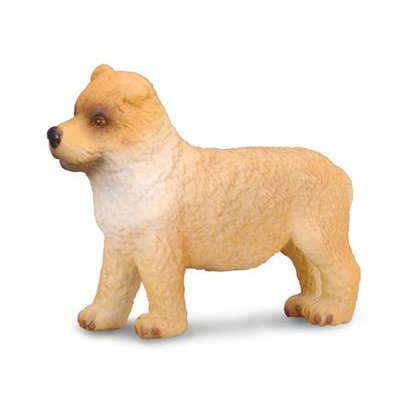 Chow Chow Puppy - (S)
