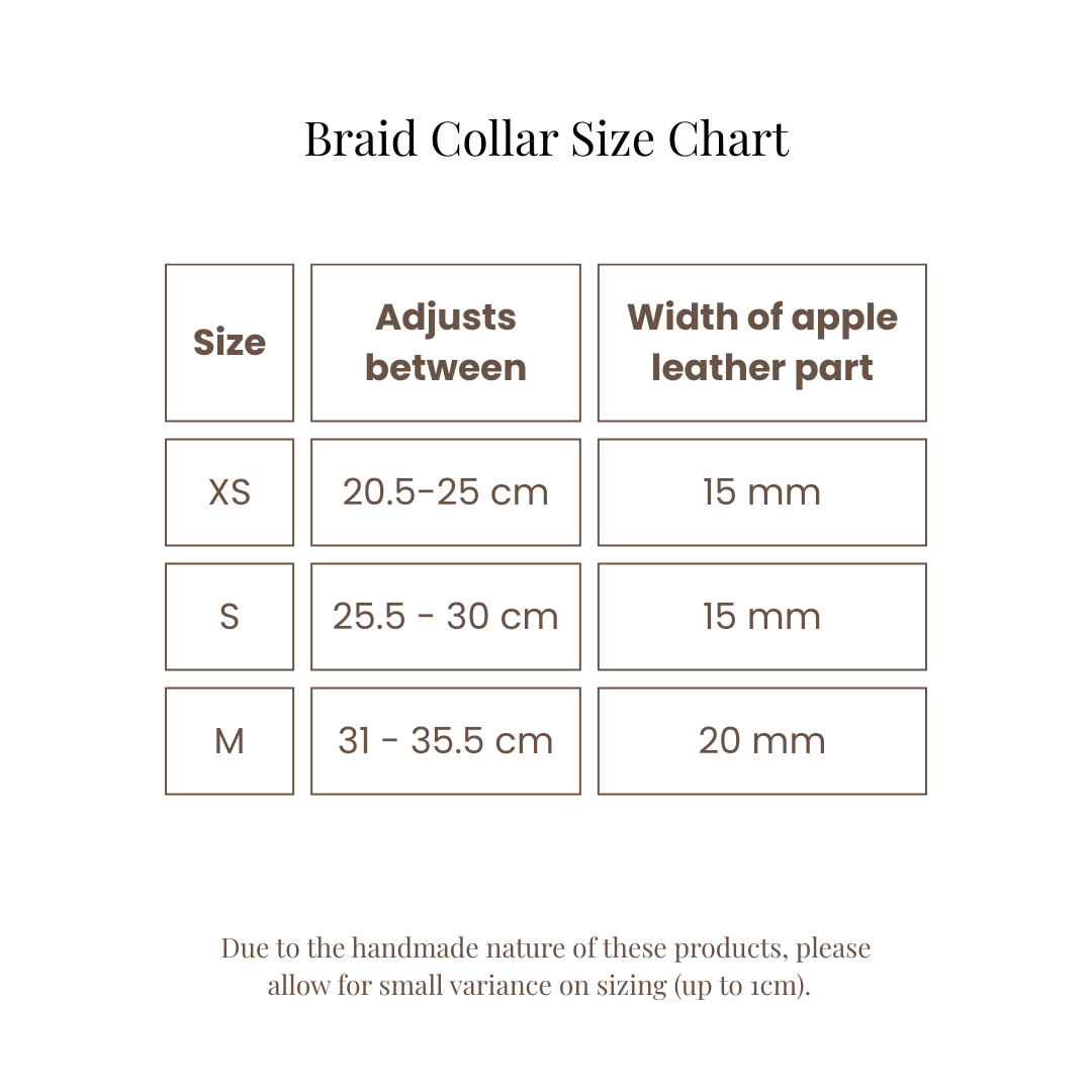Braid Dog Collar - Petal