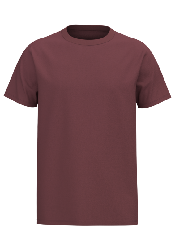 T2100 | Tencel ™ Active Herren T-shirt